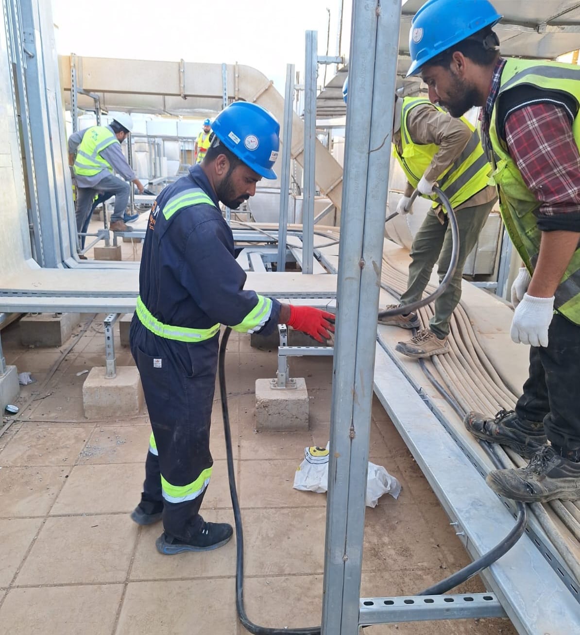 Novaroots Project 46